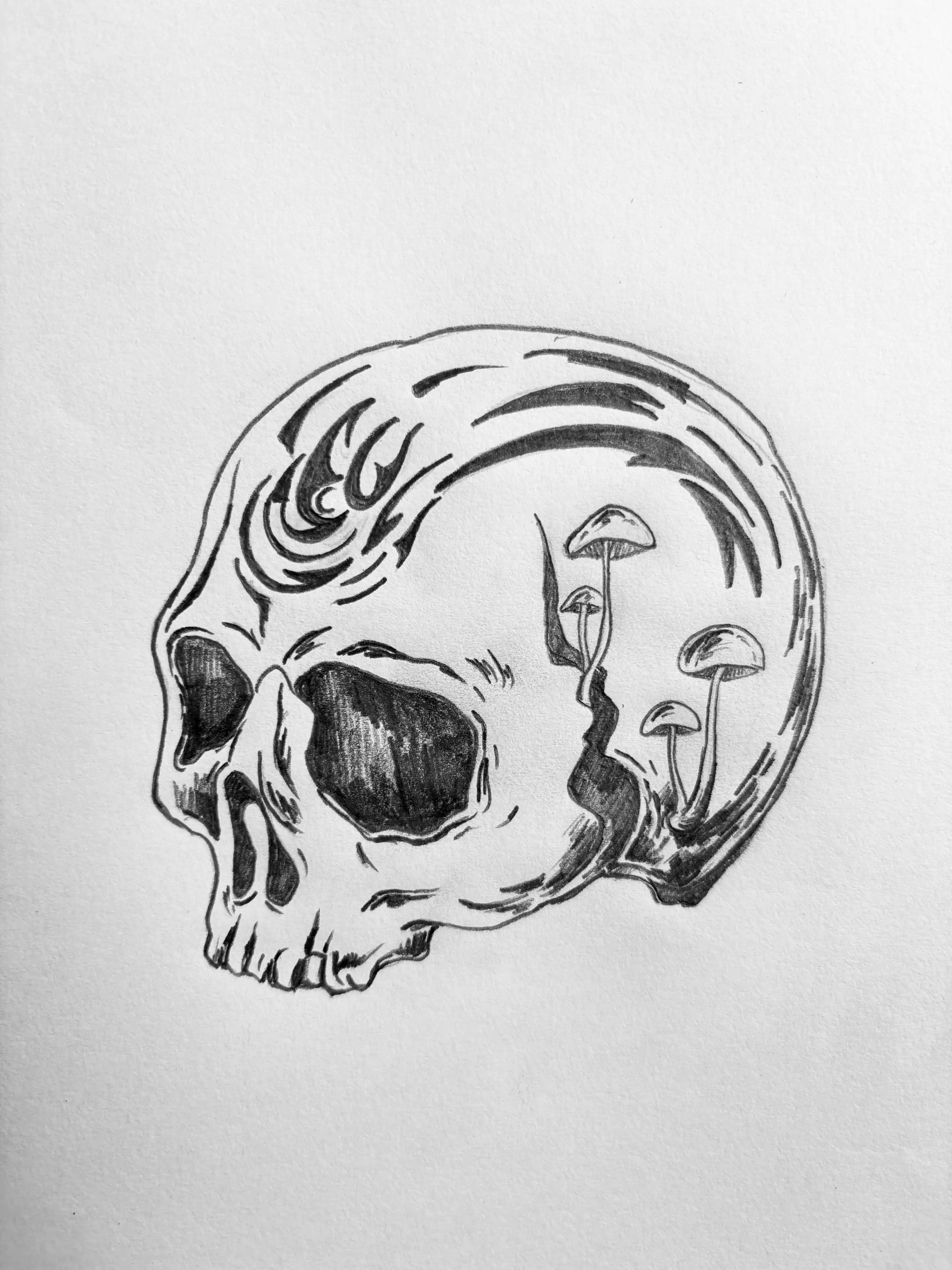 Ink-and-pencil skull illustration concept