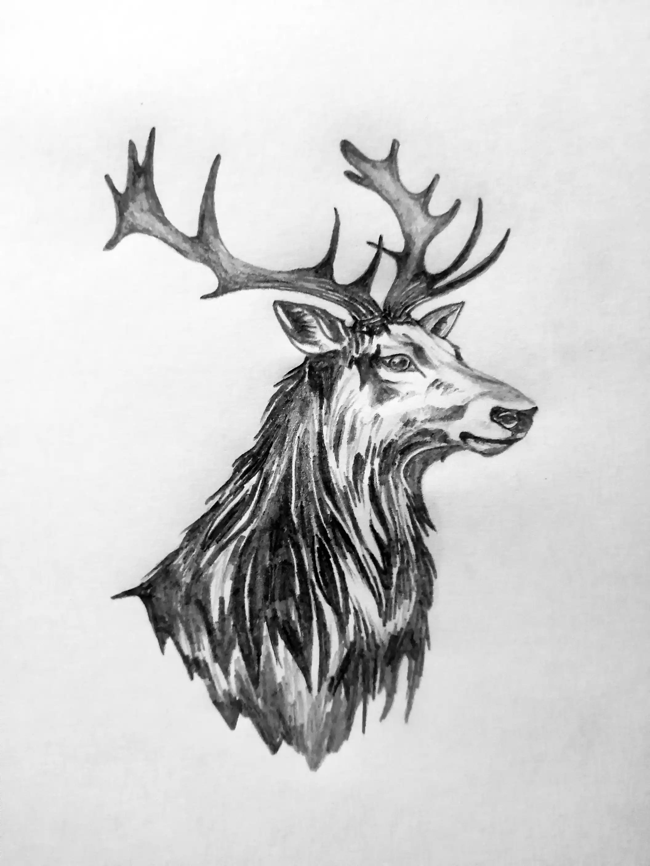 Dramatic graphite artwork with cinematic lighting